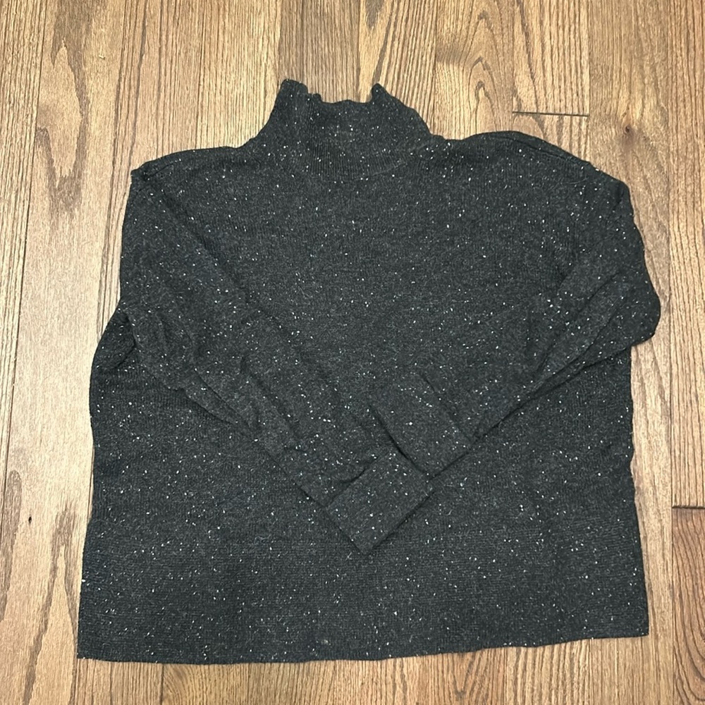 Everlane boxy cashmere sweater turtleneck